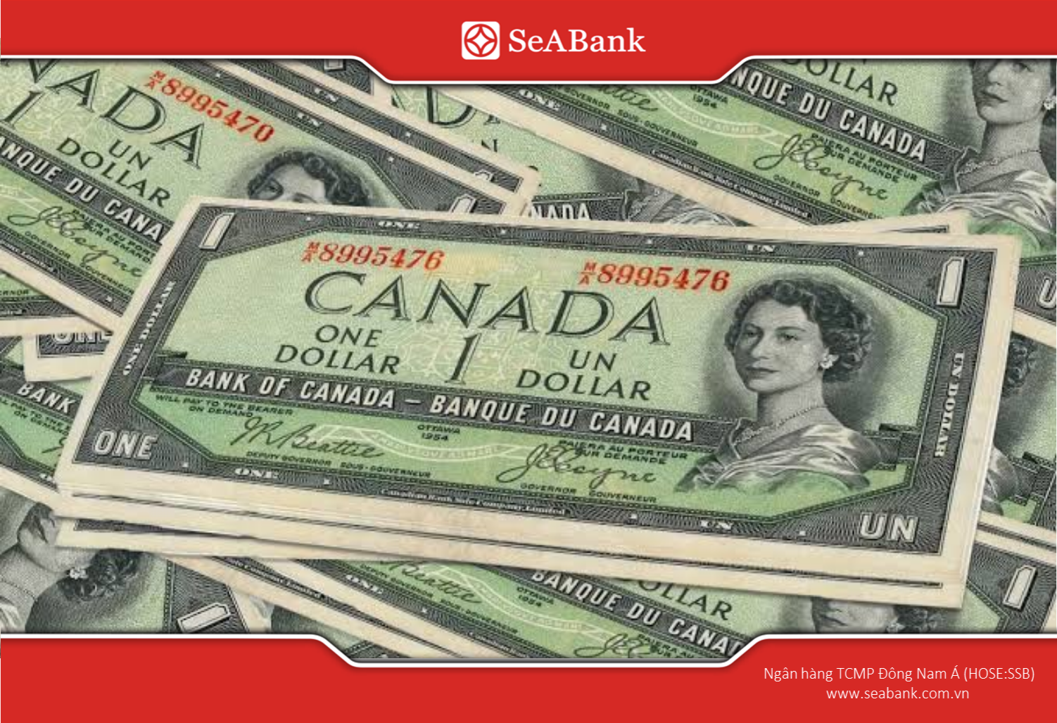 1 đô Canada bằng bao nhiêu tiền Việt Nam? Cách quy đổi đơn giản