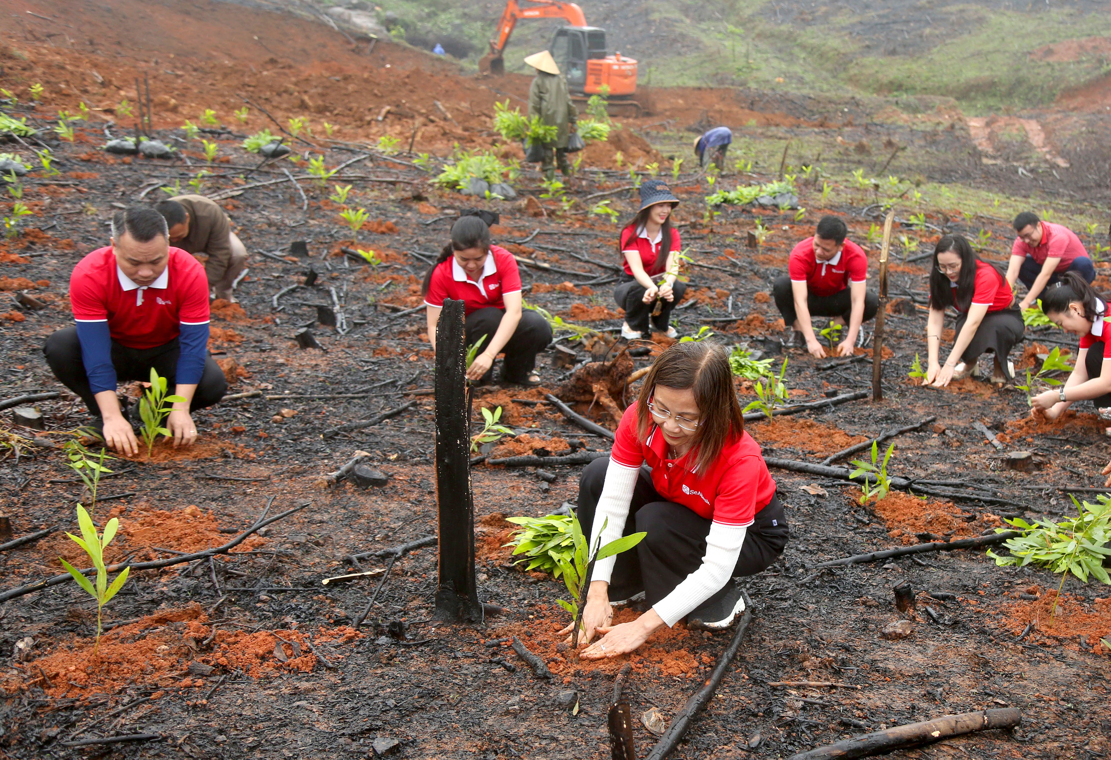 SeABank hỗ trợ trồng gần 671 nghìn cây xanh tại Hà Tĩnh, vượt mục tiêu 1 triệu cây xanh