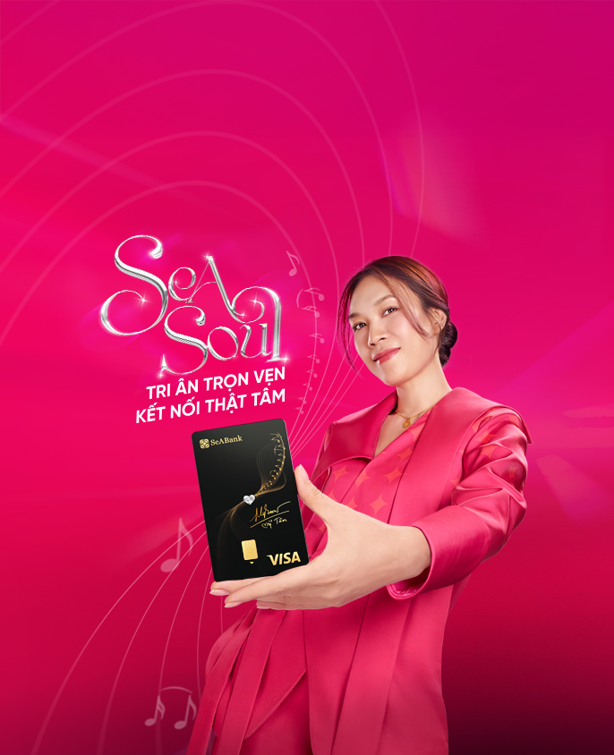 Visa SeASoul 2in1