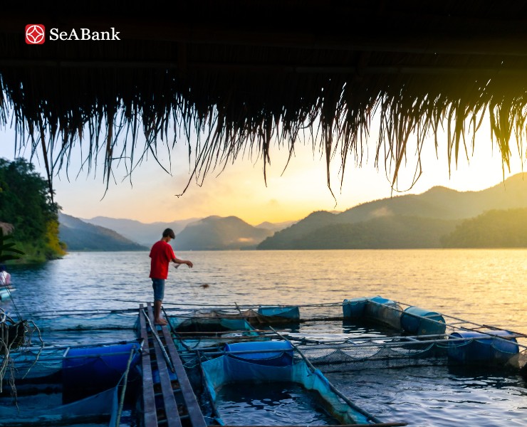 Gói tài trợ chuyên biệt cho doanh nghiệp thủy sản tại SeABank