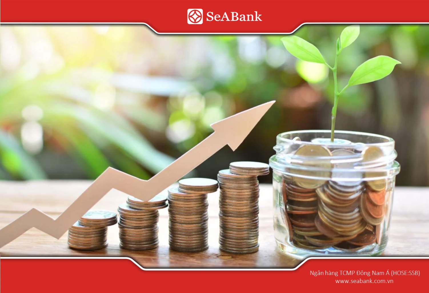 Maintaining a savings account regularly helps preserve assets, generate passive income, and build healthy financial management habits