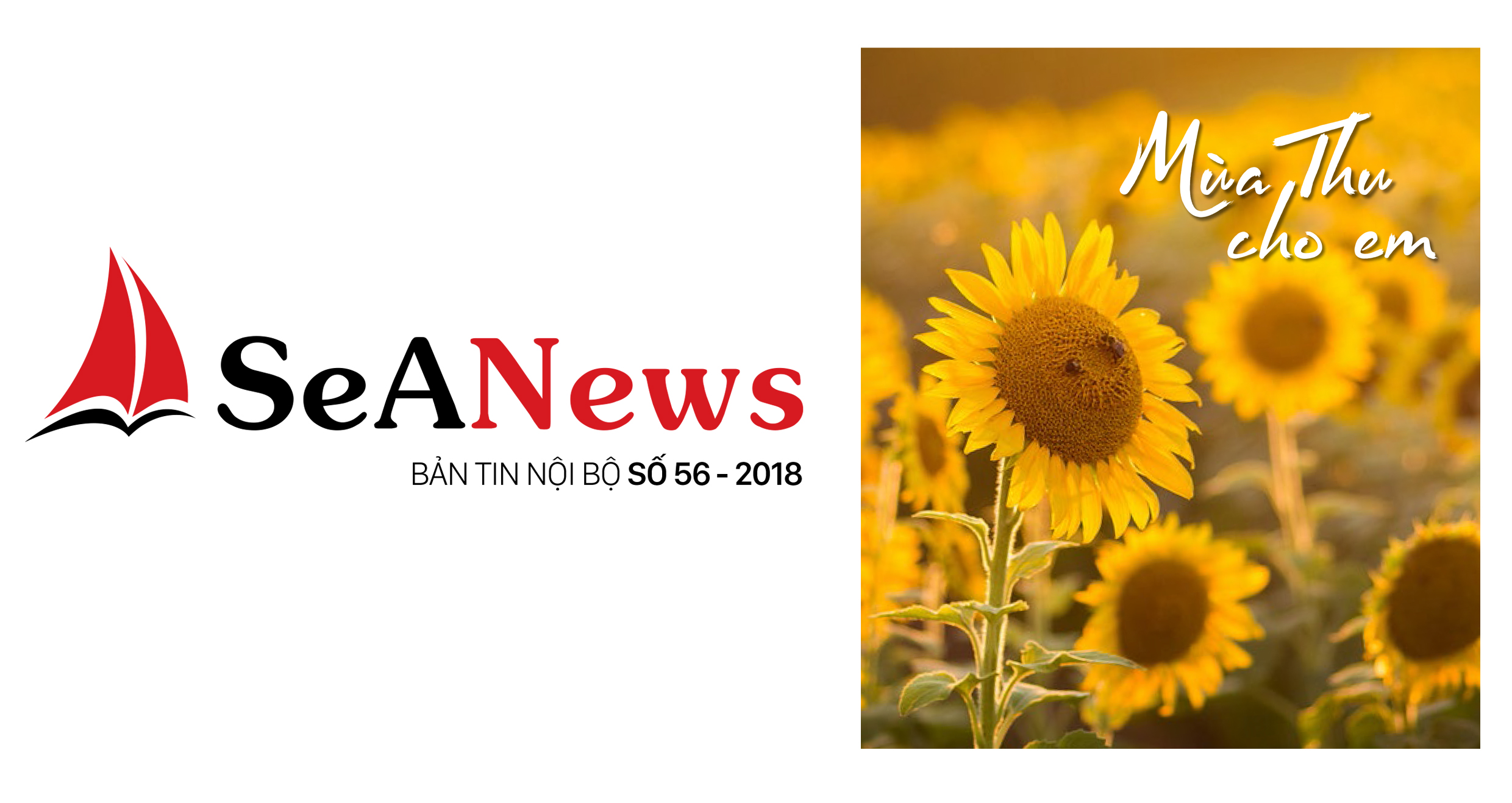 MỜI ĐỌC SEANEWS SỐ 56 - MÙA THU CHO EM