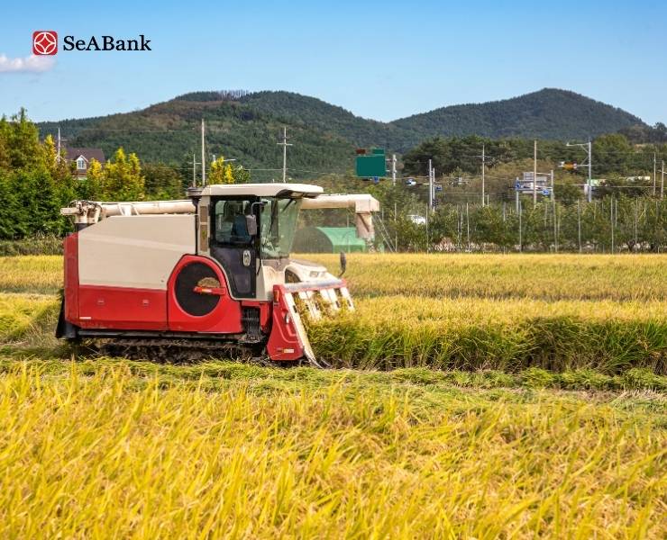 Tăng trưởng bền vững với gói Tài trợ gạo theo mùa vụ từ SeABank